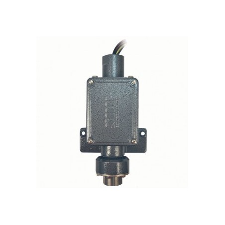 Interruptores de presión y vacío